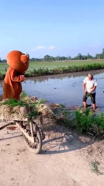 带你吃瓜公园大爷,公园大爷带你领略“吃瓜”文化新风尚