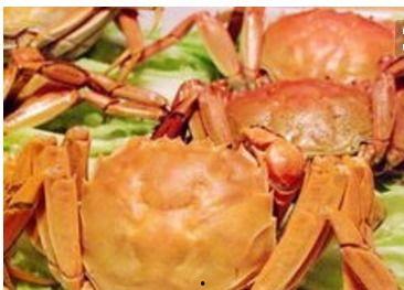 土瓜可以和螃蟹一起吃吗,兼容性探讨