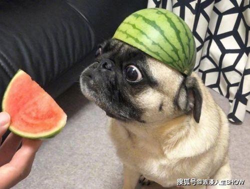 cc吃瓜小号,娱乐圈幕后真相大曝光