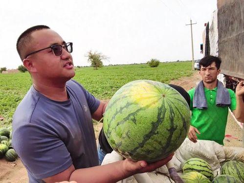 湖州吃瓜达人照片曝光,揭秘瓜界风云人物