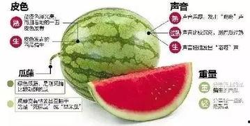 吃瓜图片微信,微信上的趣味瞬间