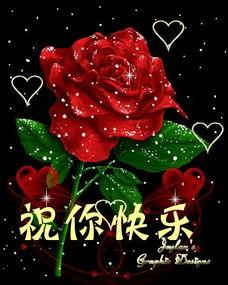 吃瓜女孩赞美玫瑰,吃瓜女孩的赞美诗篇