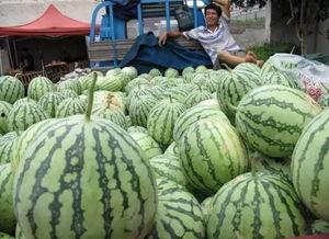 崩崩吃瓜,揭秘游戏圈那些不为人知的幕后故事