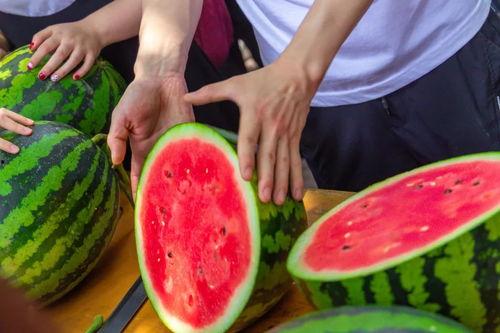 大学吃瓜事件,揭秘校园里的“瓜田”风云