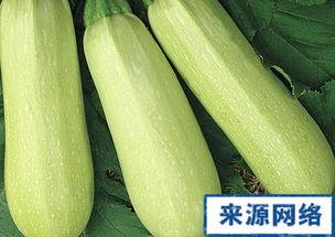 怀孕角瓜可以吃吗,角瓜的食用与营养益处