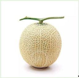 吃瓜群众melon,揭秘娱乐圈的幕后故事