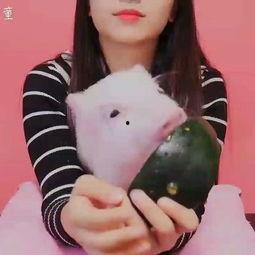 猪吃瓜的直播间,趣味横生的直播盛宴