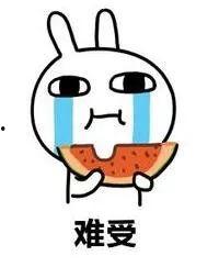 单身人士吃瓜,揭秘单身人士的美食世界