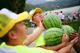 吃瓜群众挑战全集,揭秘娱乐圈幕后真相