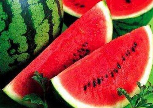 胡吃海瓜喝,尽享美食盛宴